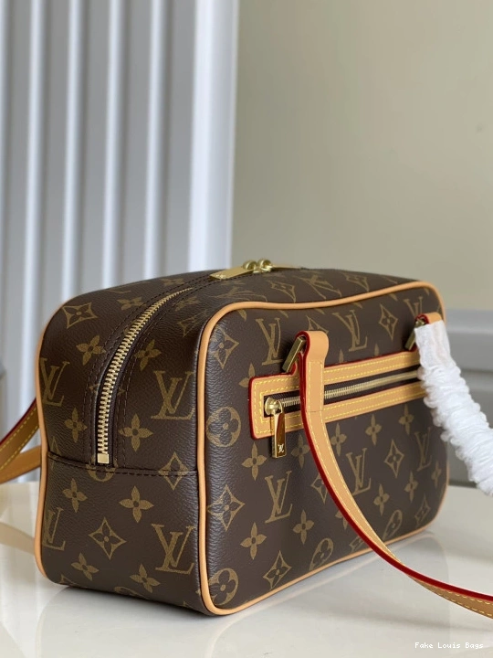 Fake Louis Bags CITE LOUIS VUITTON 0811